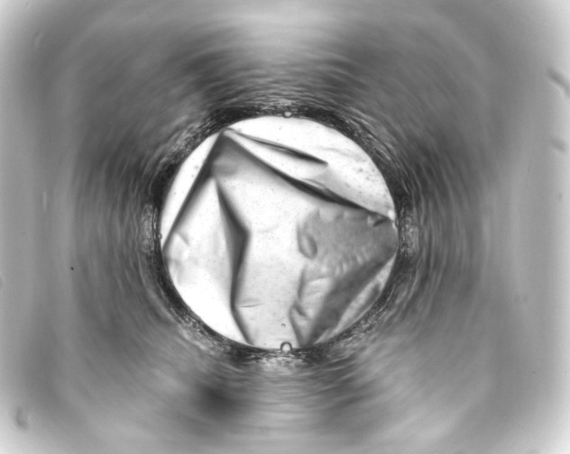 X0000093210468200710241200