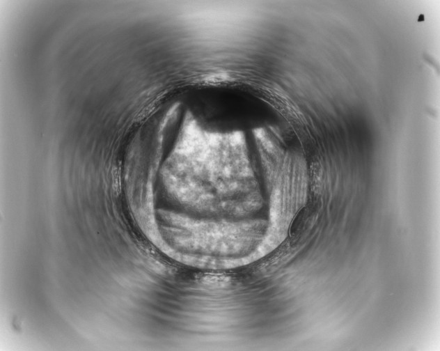 X0000093210471200710241201