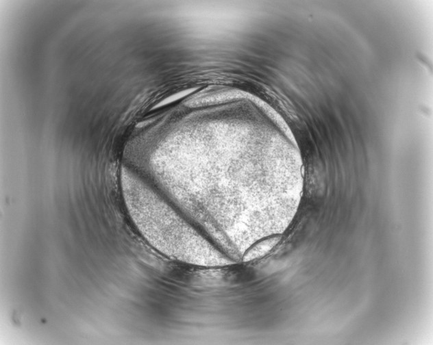 X0000093210473200710241201