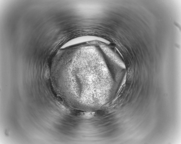 X0000093210474200710241201