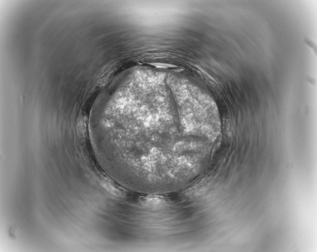 X0000093210475200710241201