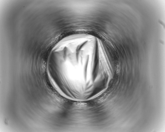 X0000093210476200710241201
