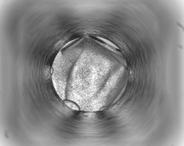 X0000093210478200710241201