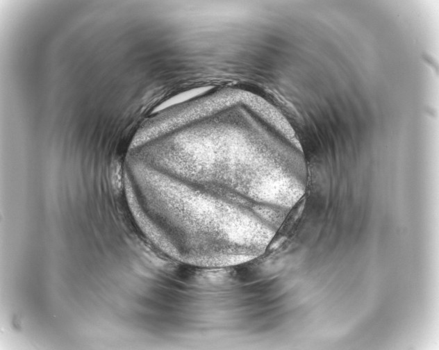 X0000093210479200710241201