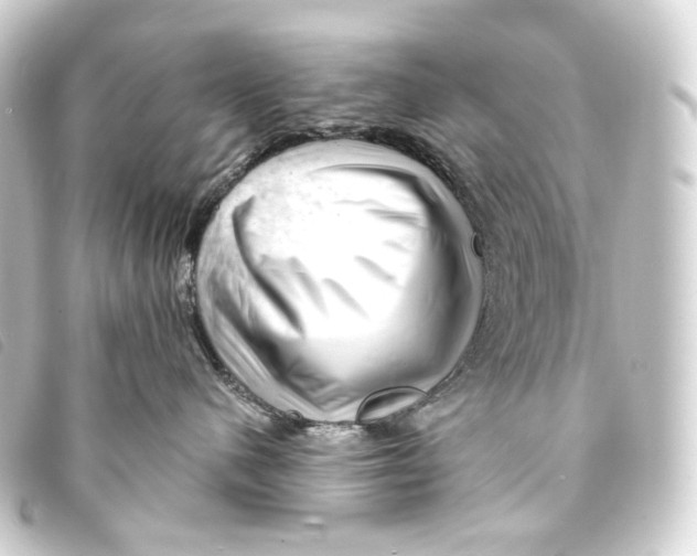 X0000093210480200710241201