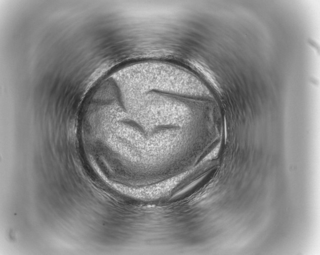 X0000093210483200710241200