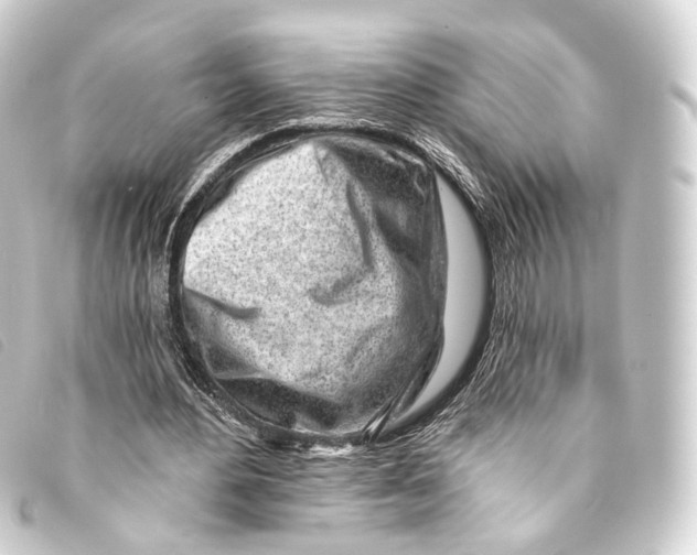 X0000093210484200710241200