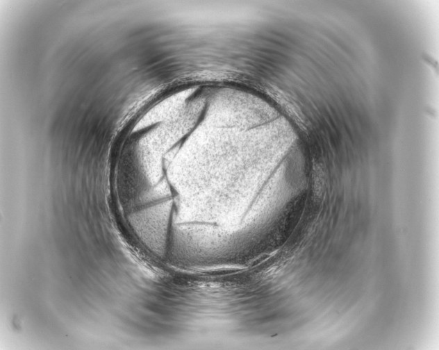 X0000093210486200710241200