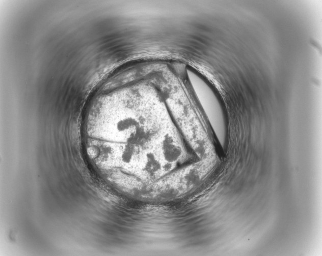 X0000093210487200710241200