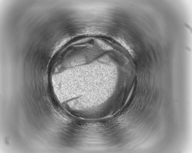 X0000093210488200710241200