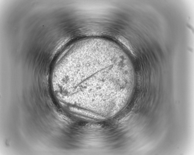X0000093210491200710241200