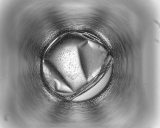 X0000093210493200710241200