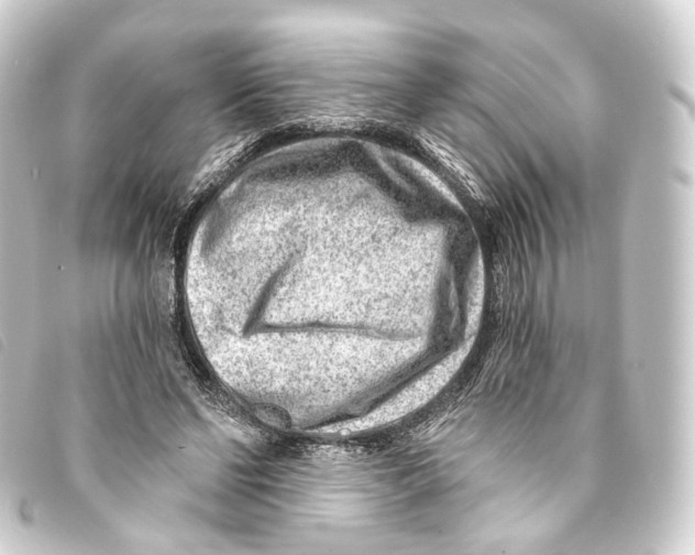 X0000093210494200710241200