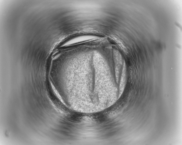 X0000093210496200710241200