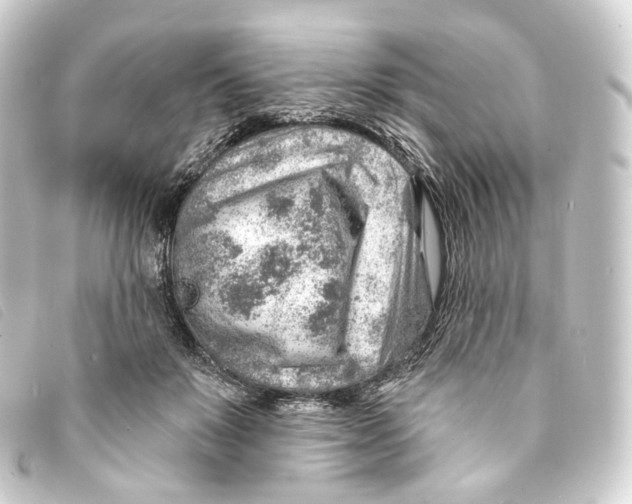 X0000093210503200710241200