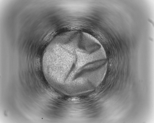 X0000093210506200710241200