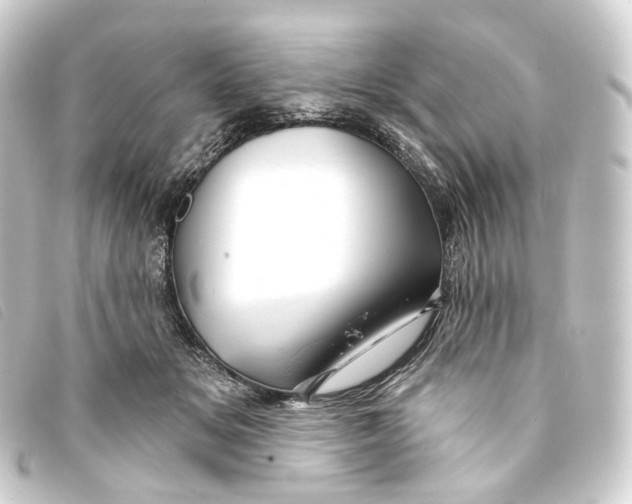 X0000093210509200710241200