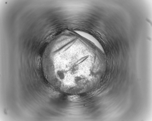 X0000093210511200710241200