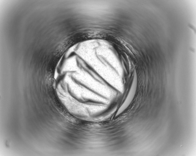 X0000093210513200710241200