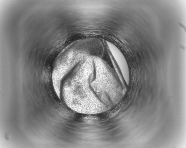 X0000093210515200710241200
