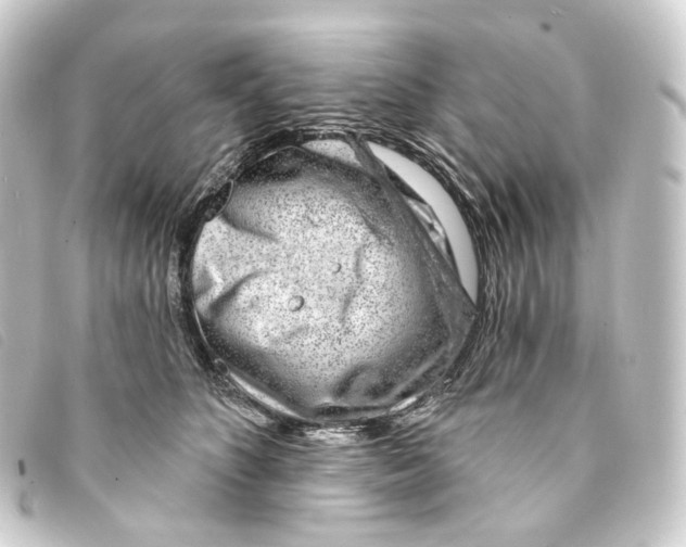 X0000093210516200710241200