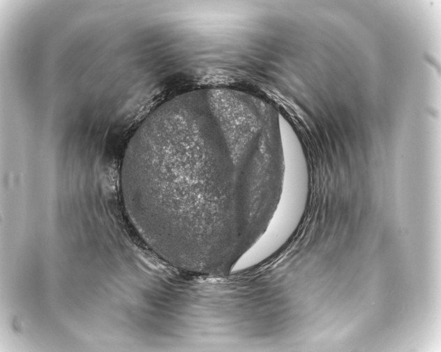 X0000093210517200710241200