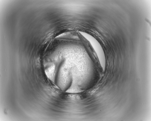 X0000093210520200710241200
