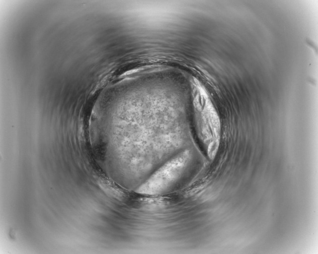 X0000093210524200710241200
