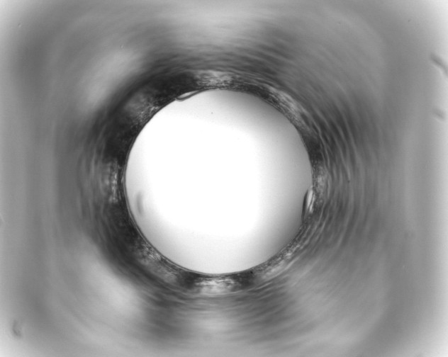 X0000093210525200710241200