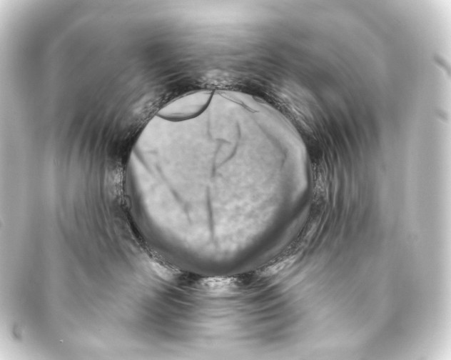 X0000093210526200710241200