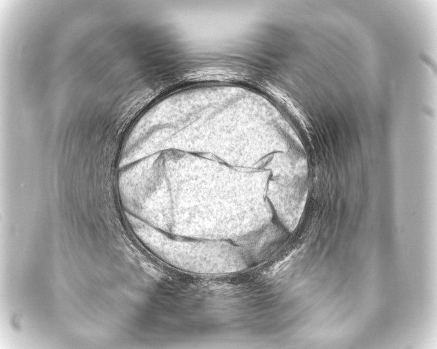 X0000093210529200710241159
