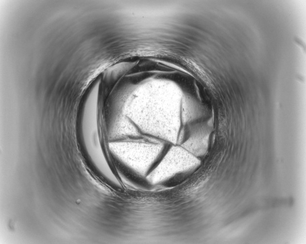 X0000093210530200710241159