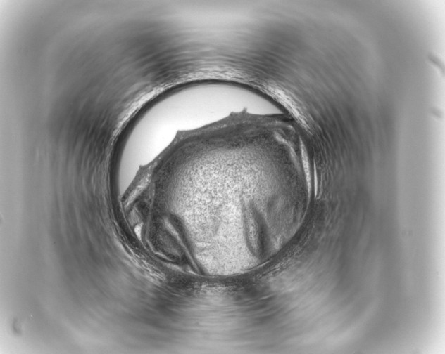 X0000093210531200710241159
