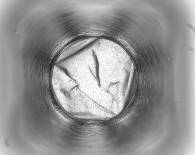 X0000093210533200710241159