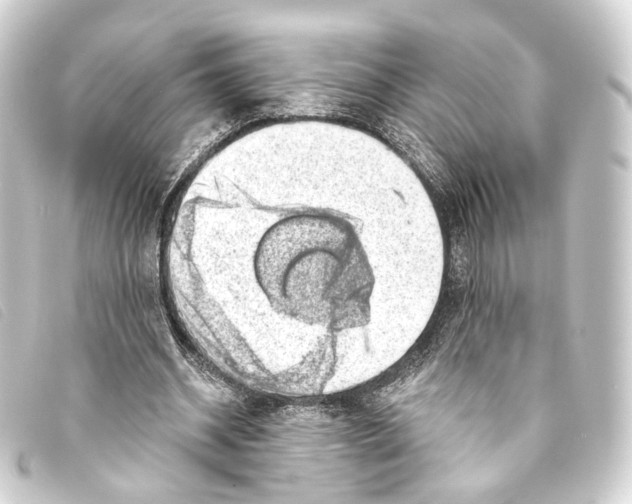 X0000093210534200710241159