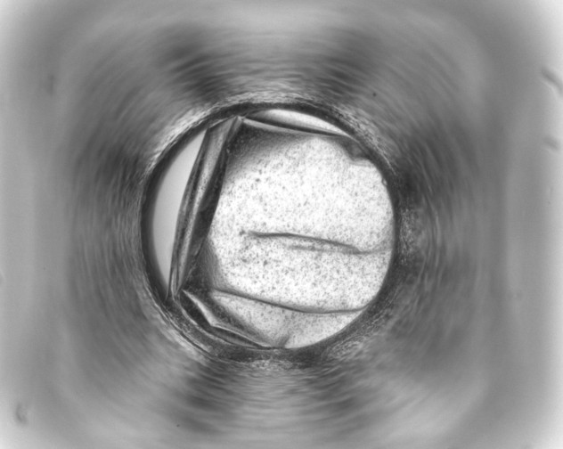 X0000093210535200710241159