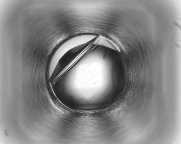 X0000093210538200710241159