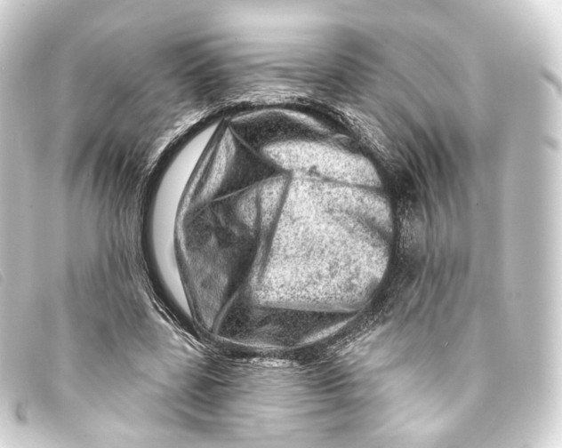X0000093210539200710241159