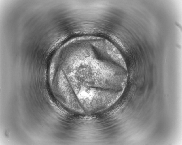 X0000093210542200710241159