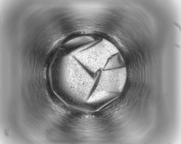 X0000093210543200710241159