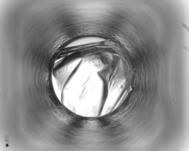 X0000093210548200710241159