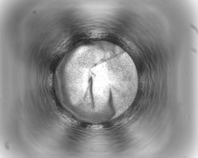X0000093210554200710241159
