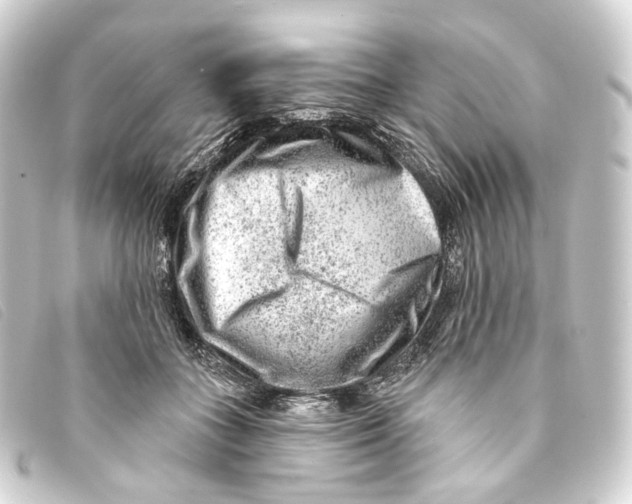 X0000093210555200710241159