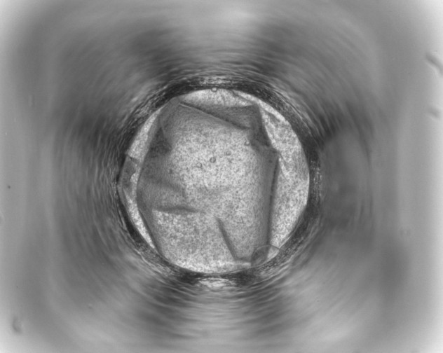 X0000093210557200710241159
