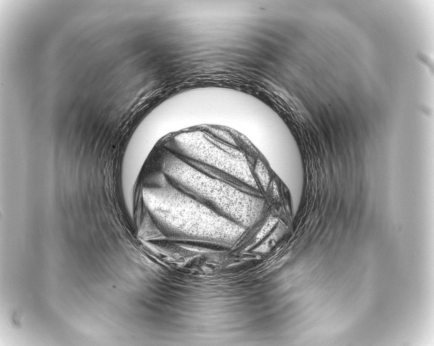 X0000093210558200710241159
