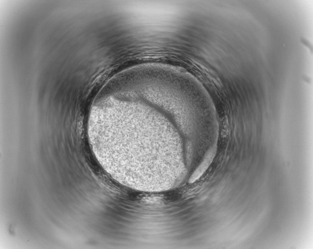X0000093210560200710241159
