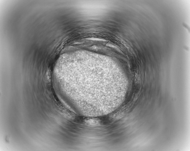 X0000093210561200710241159