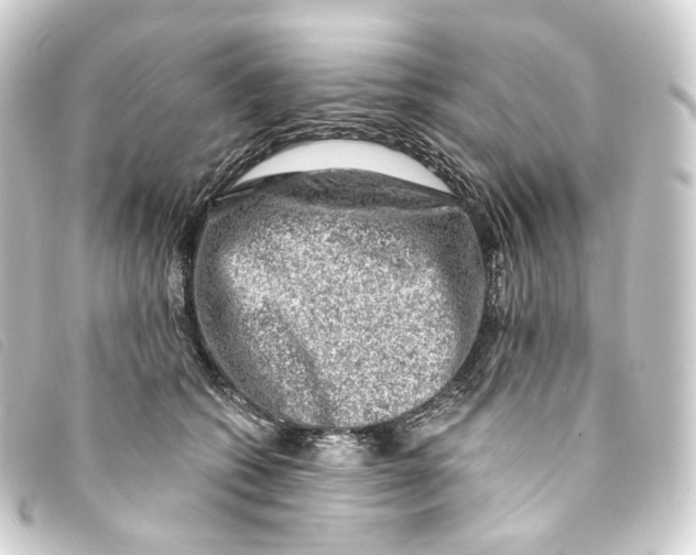X0000093210562200710241159