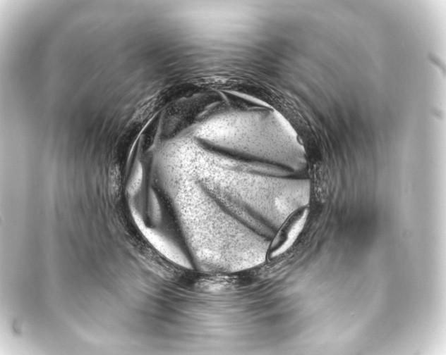 X0000093210563200710241159