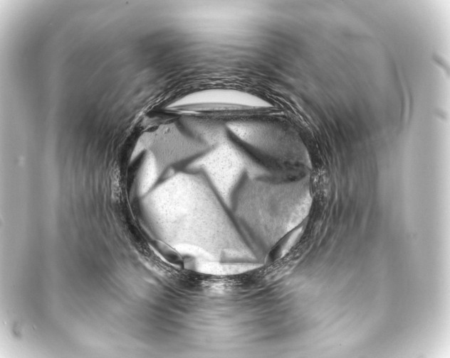 X0000093210564200710241159